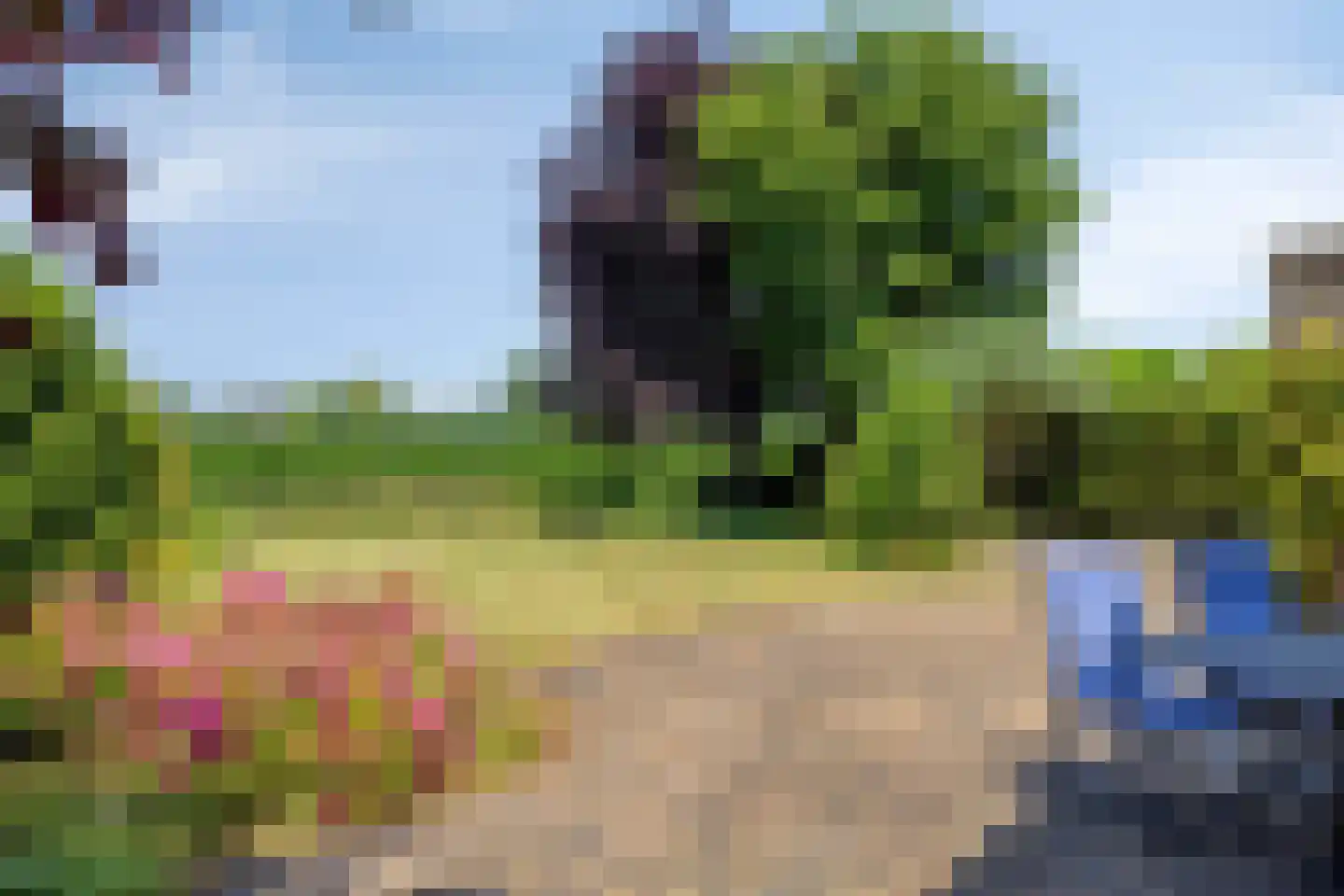 Westerhaar 8 Beltrum thumbnail 31