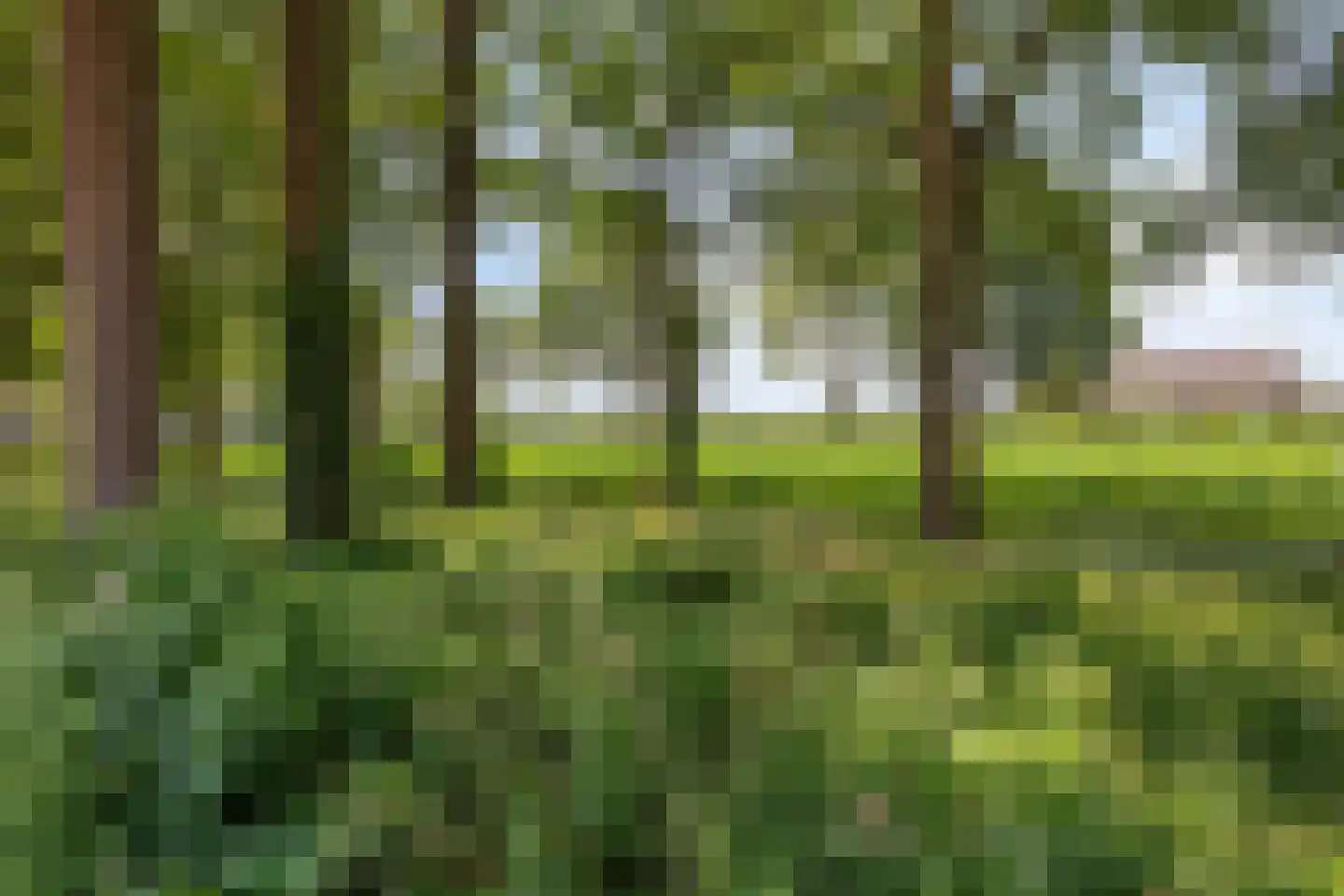 Westerhaar 8 Beltrum thumbnail 34
