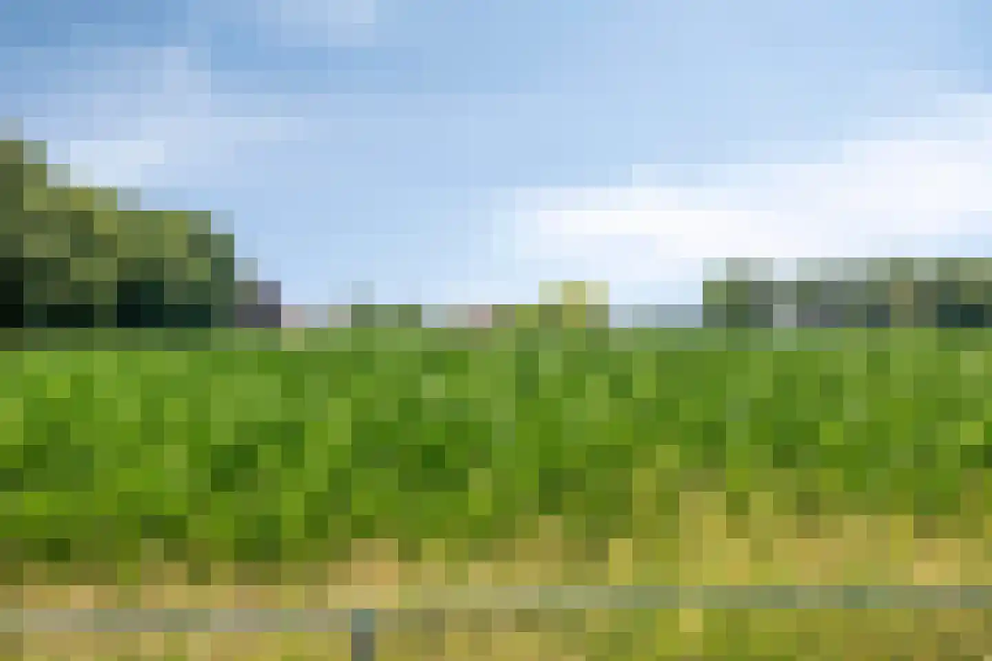 Westerhaar 8 Beltrum thumbnail 35