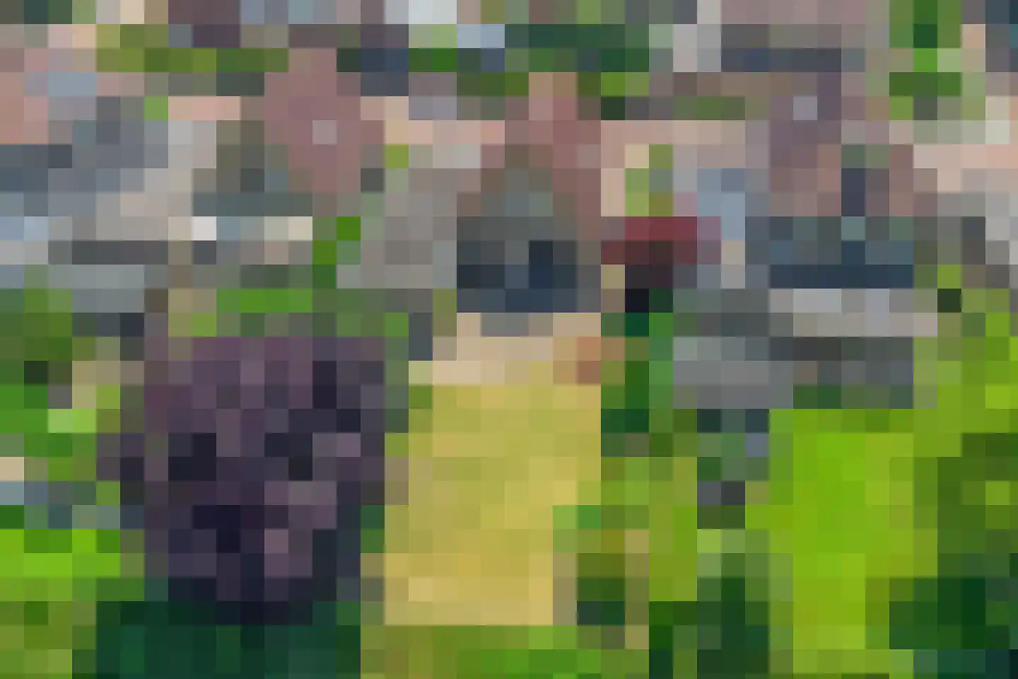 Westerhaar 8 Beltrum thumbnail 37