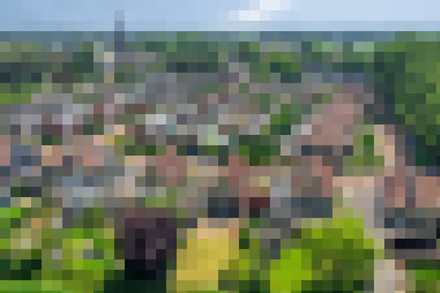 Westerhaar 8 Beltrum thumbnail 38