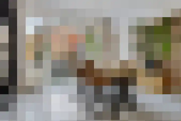 Westerhaven 5 a Groningen thumbnail 13