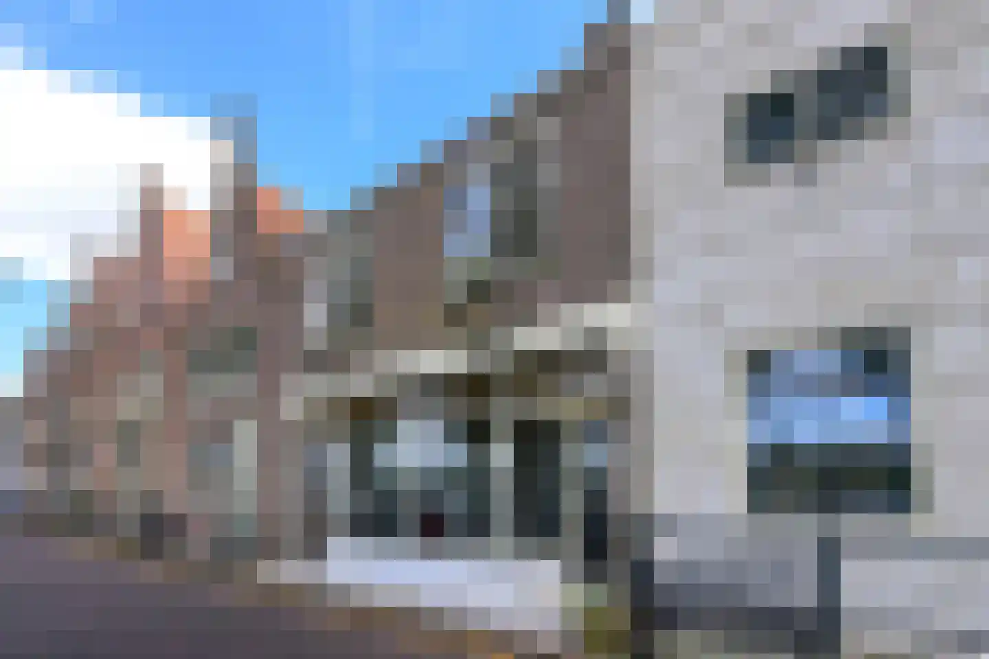 Westerhaven 8 Medemblik thumbnail 9