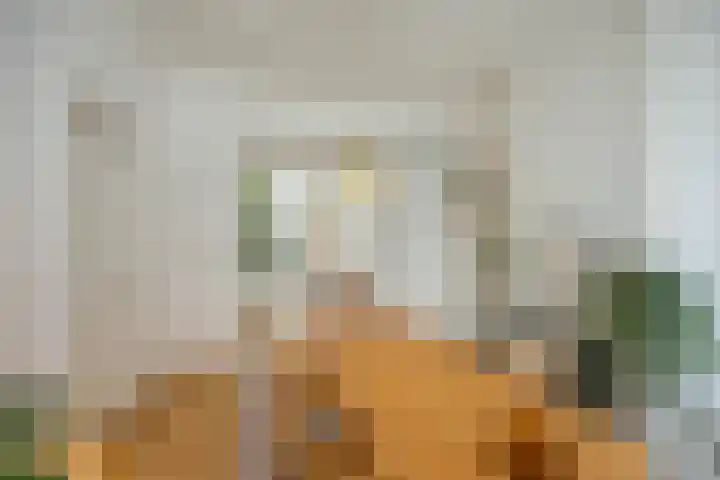 Westerhavenstraat 17 Groningen thumbnail 4