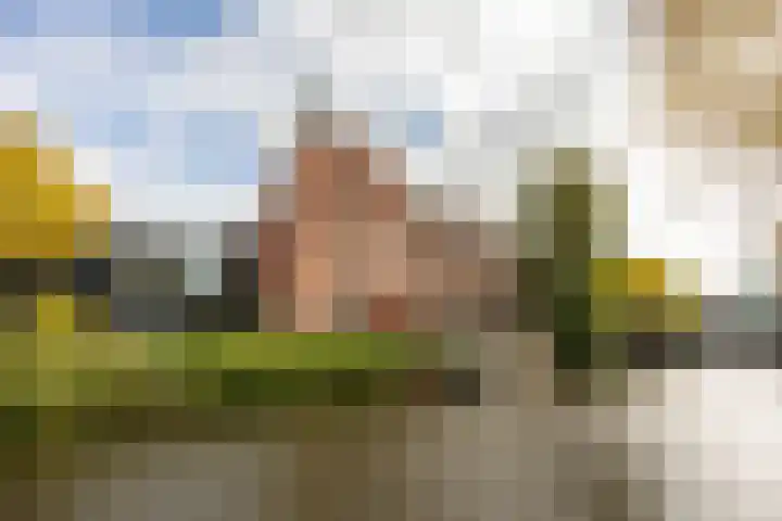 Westerhavenstraat 17 Groningen thumbnail 40
