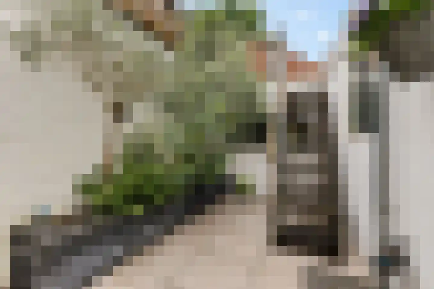 Westerhavenstraat 21 Groningen thumbnail 21