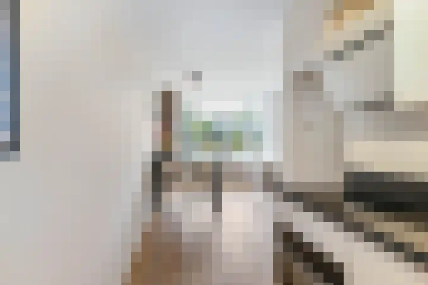 Westerhavenstraat 47 Groningen thumbnail 20