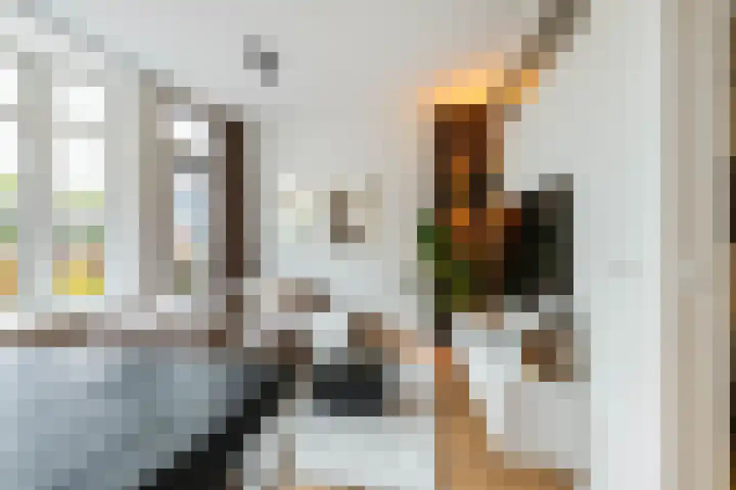 Westerhavenstraat 47 Groningen thumbnail 8