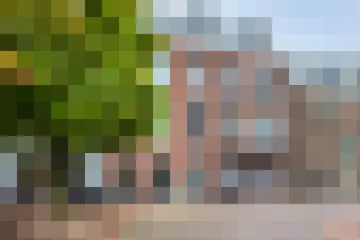 Westerhavenstraat 63 Groningen thumbnail 19