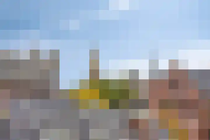 Westerhavenstraat 63 Groningen thumbnail 4