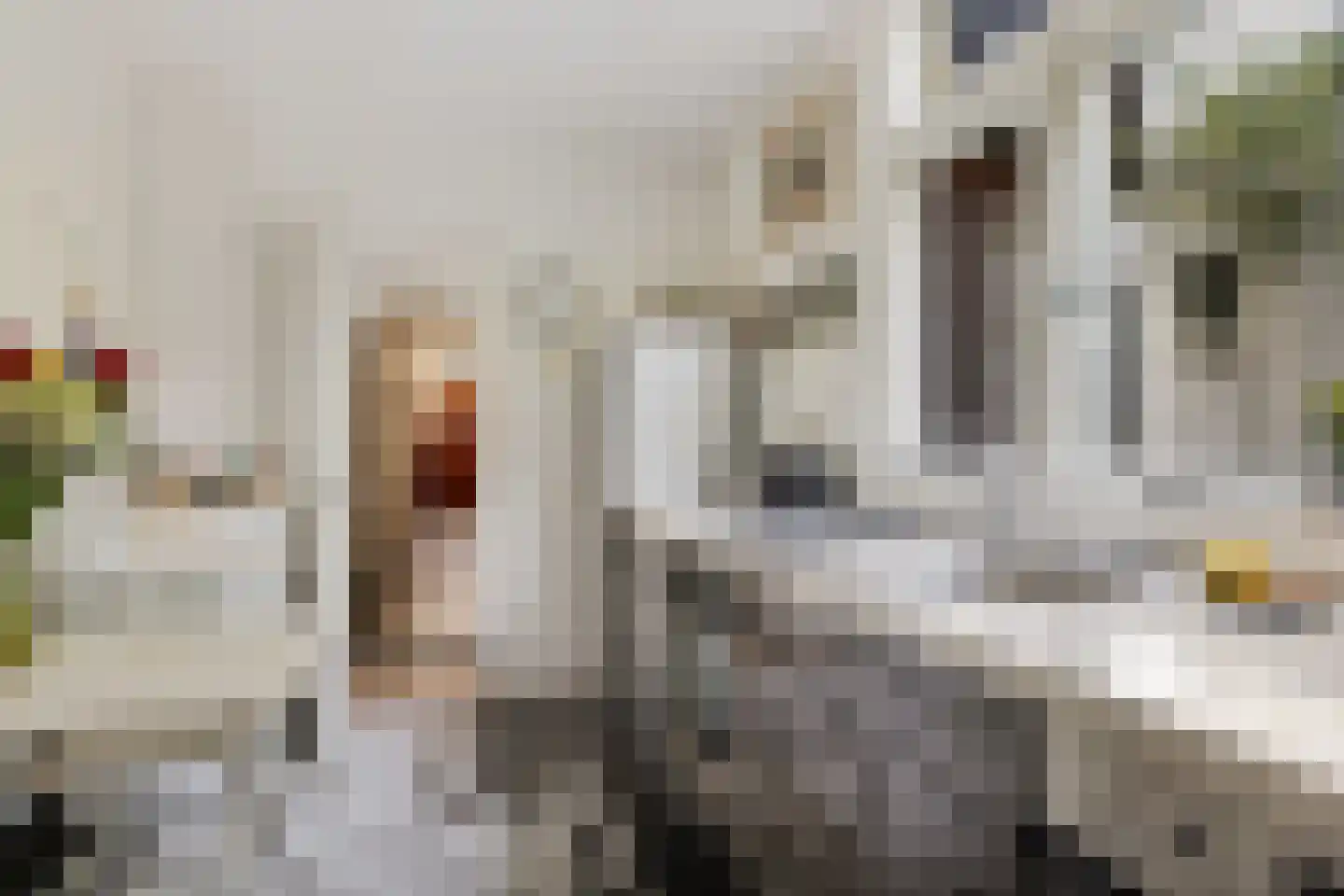 Westerhavenstraat 9 Groningen thumbnail 18