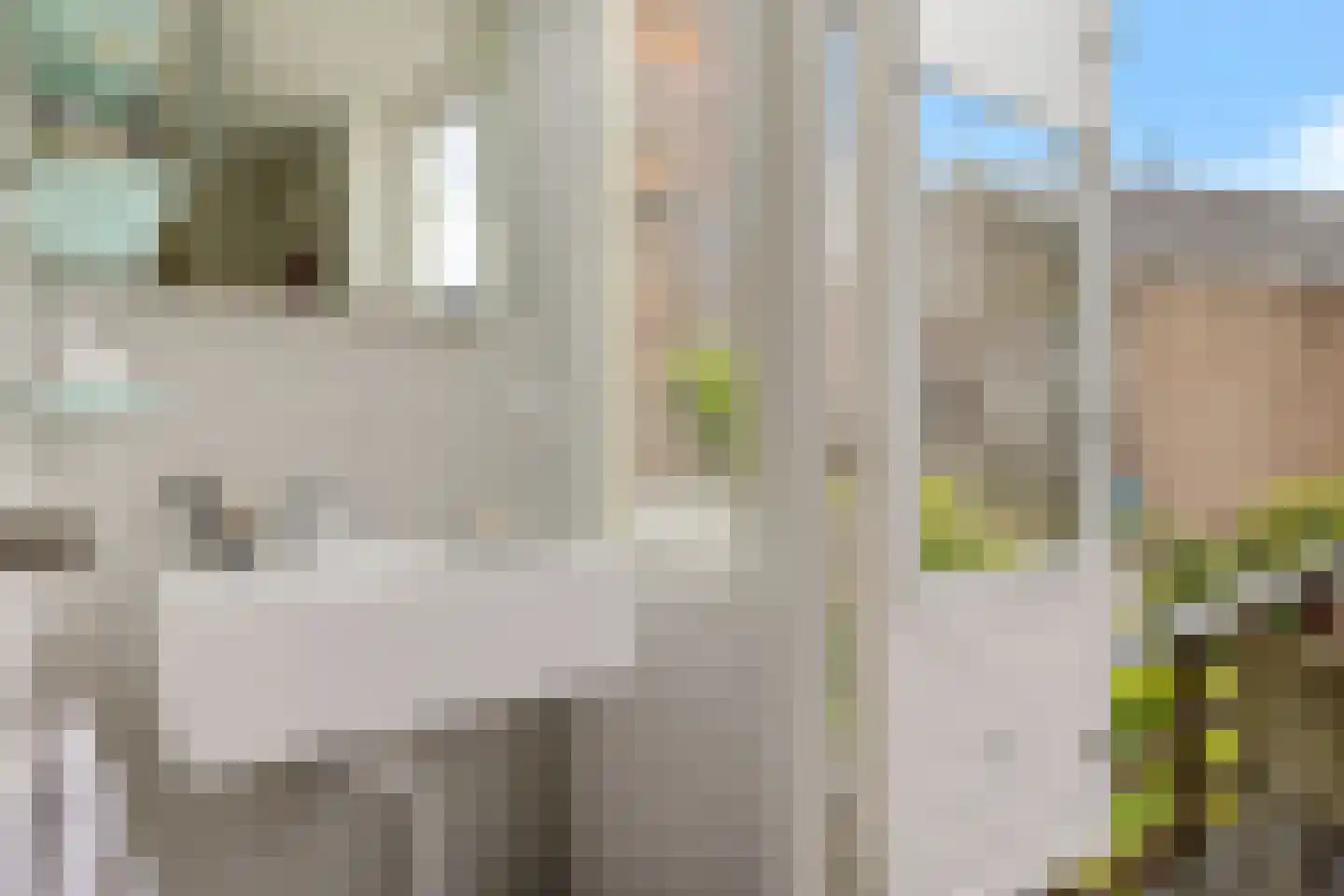Westerhavenstraat 9 Groningen thumbnail 30