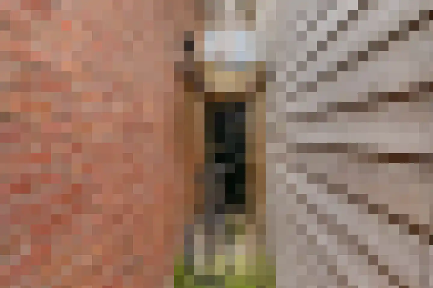 Westerhavenstraat 9 Groningen thumbnail 34
