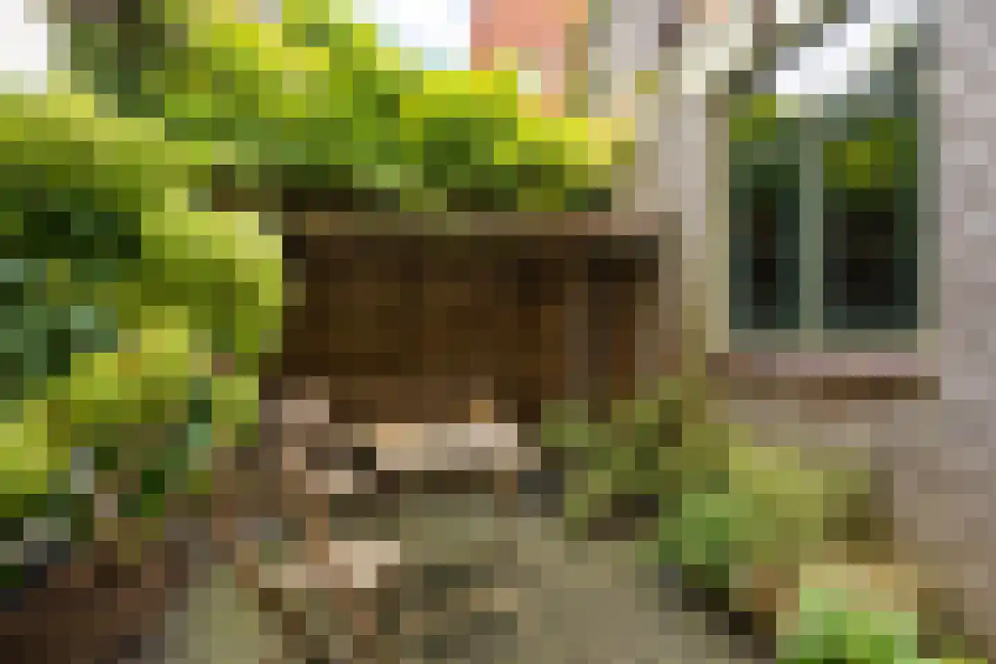 Westerhavenstraat 9 Groningen thumbnail 36