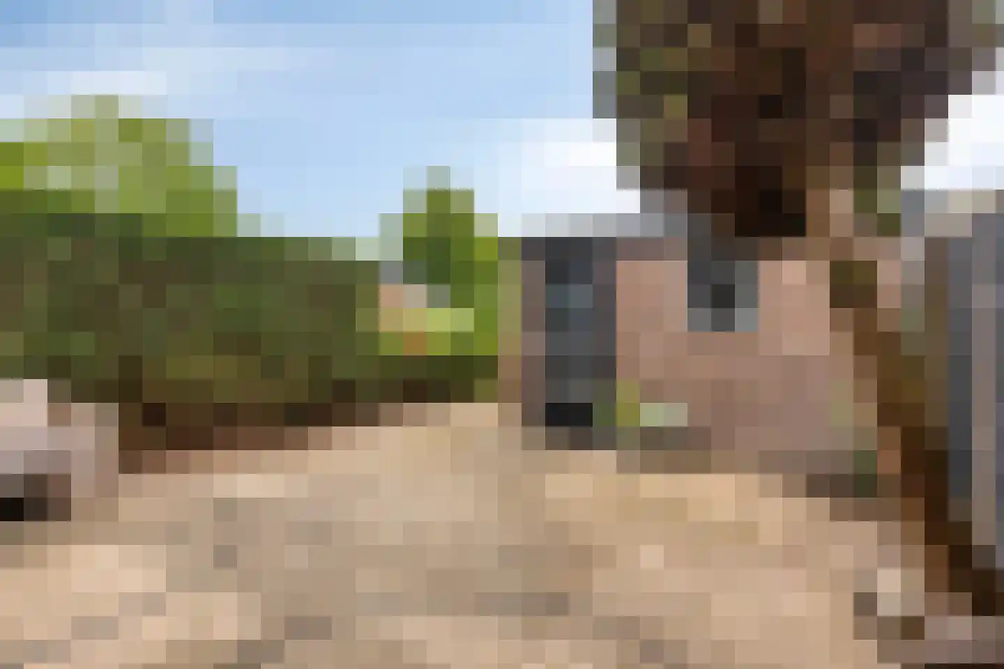 Westerhem 111 Middenbeemster thumbnail 33