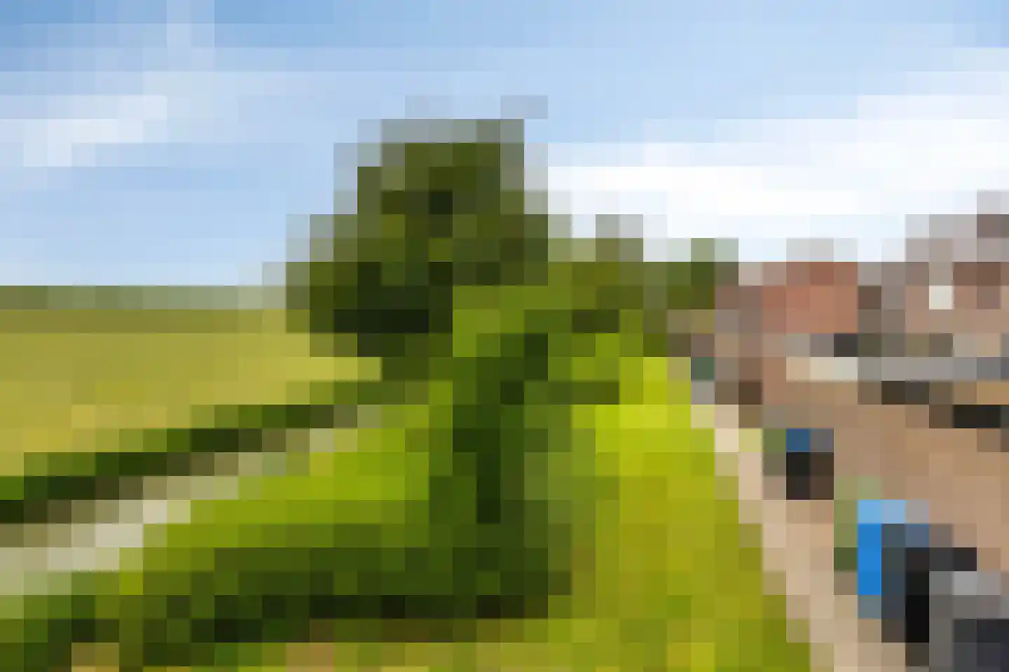 Westerhem 111 Middenbeemster thumbnail 36