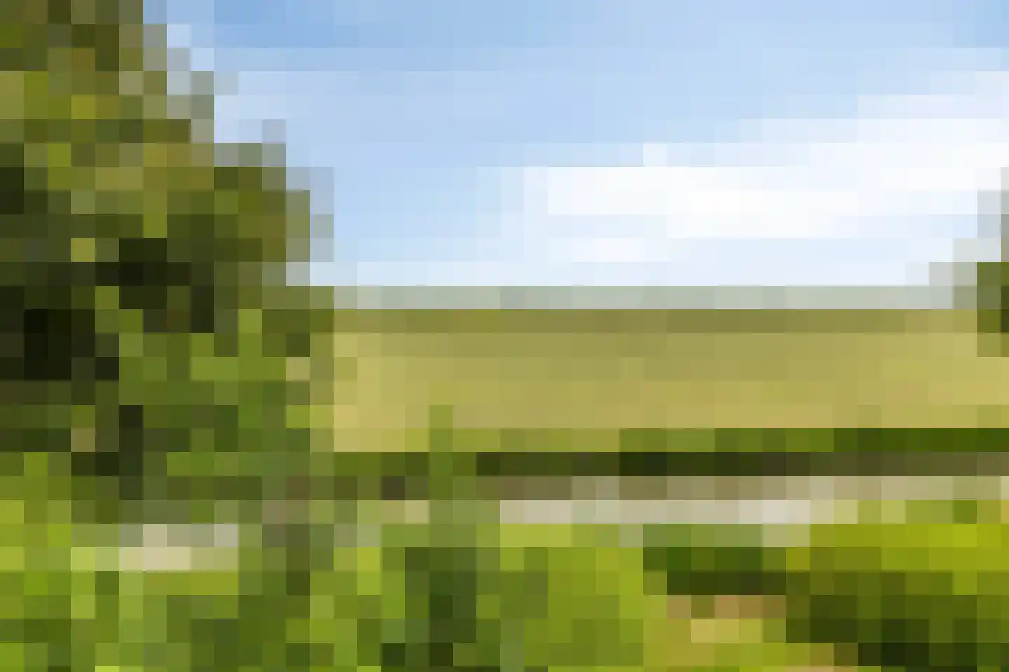Westerhem 111 Middenbeemster thumbnail 37