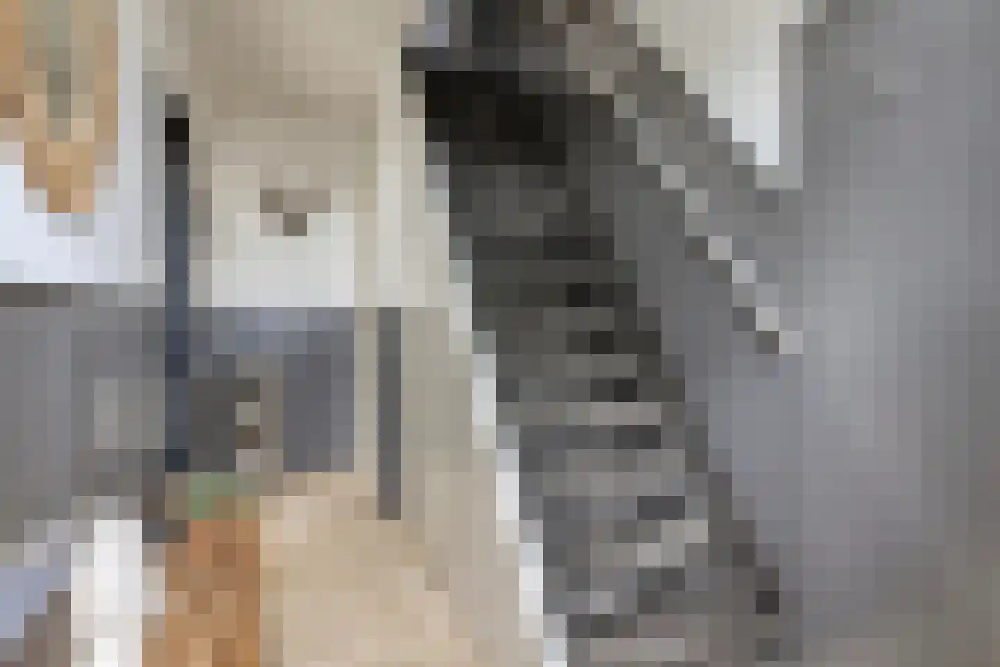 Westerhem 111 Middenbeemster thumbnail 7