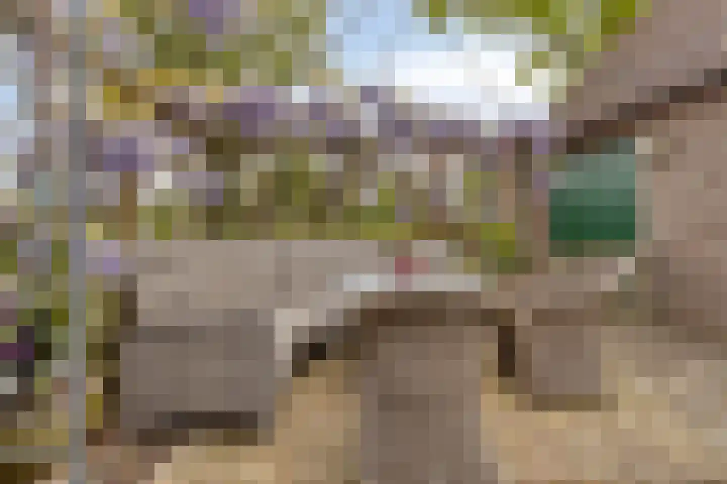 Westerhem 127 Middenbeemster thumbnail 22