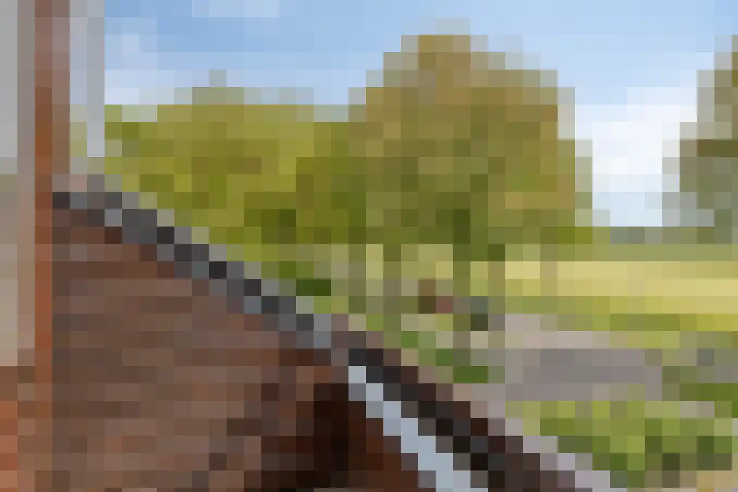 Westerhem 127 Middenbeemster thumbnail 36