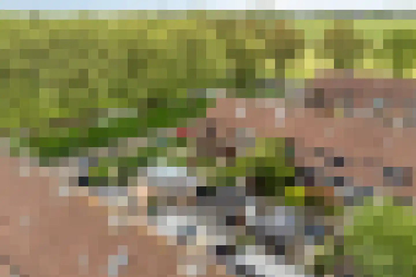 Westerhem 127 Middenbeemster thumbnail 42