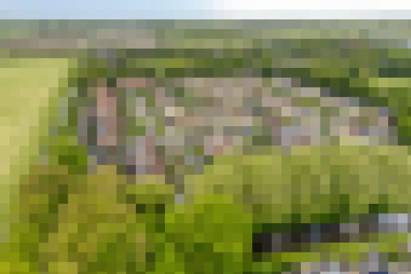 Westerhem 127 Middenbeemster thumbnail 45