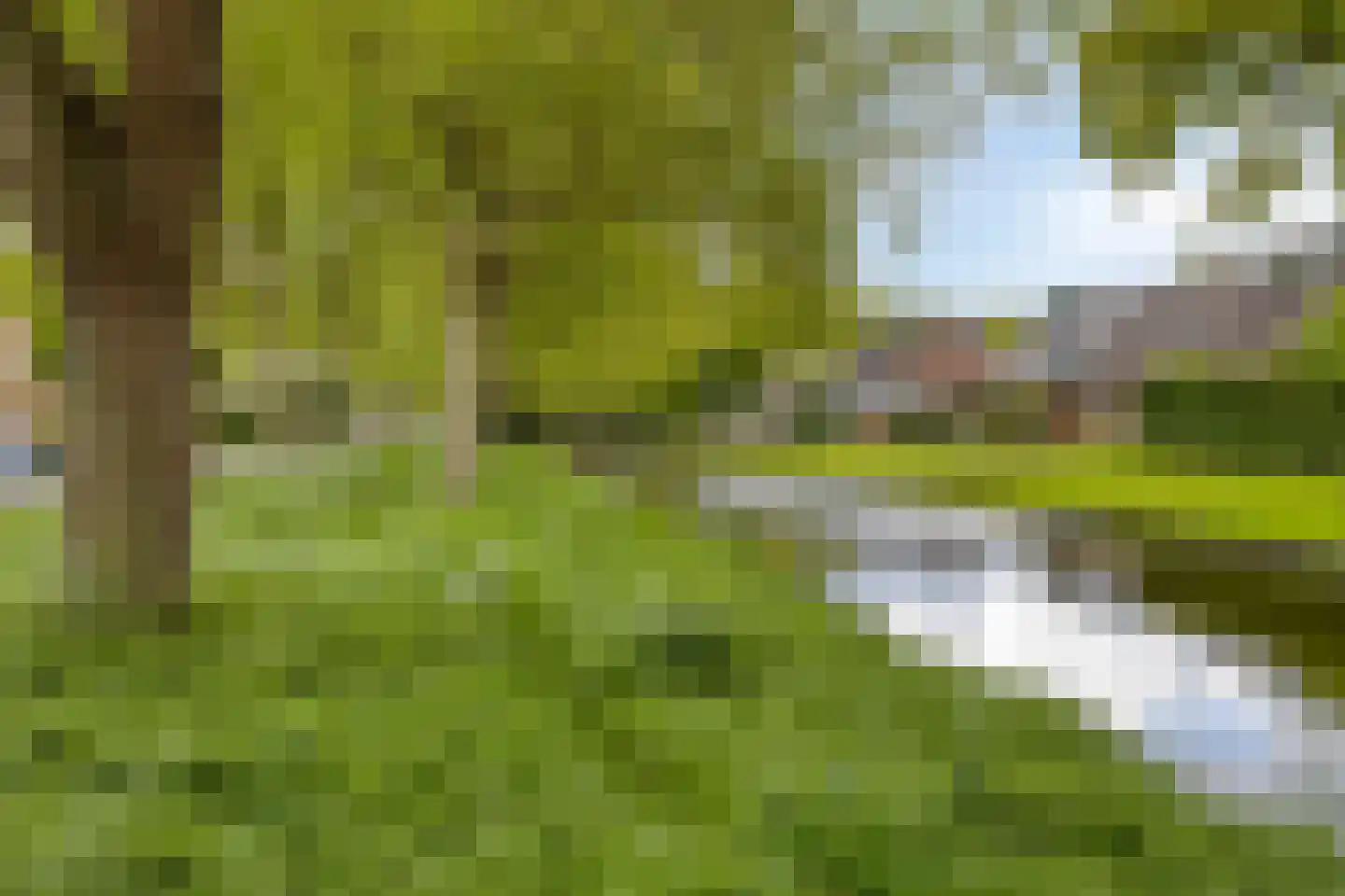 Westerhem 127 Middenbeemster thumbnail 47