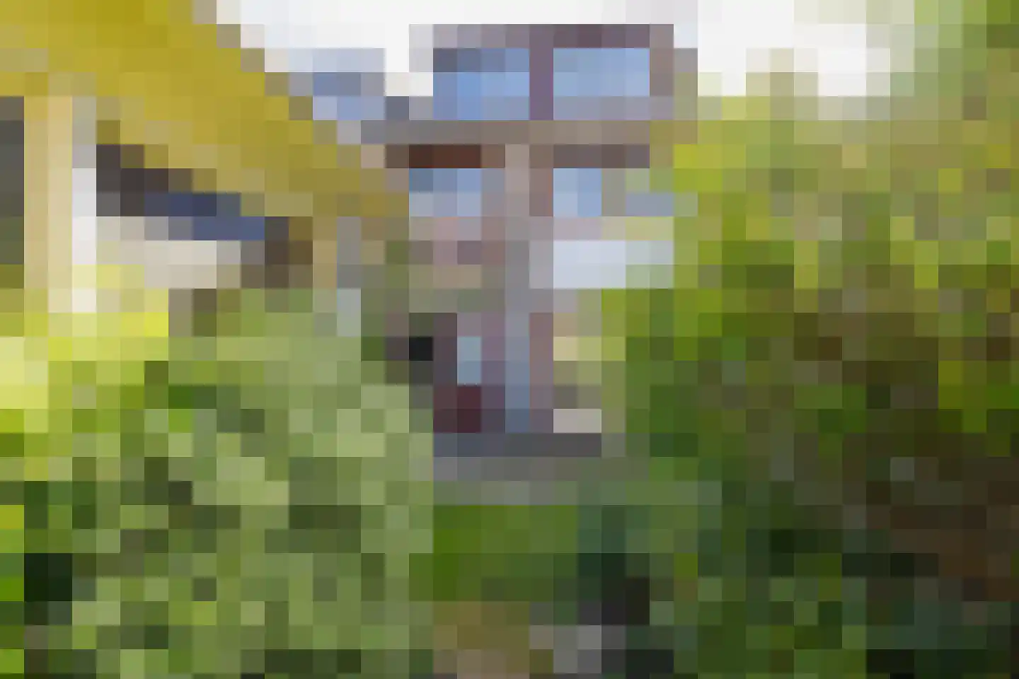 Westerhoevelaan 8 Santpoort-Noord thumbnail 13