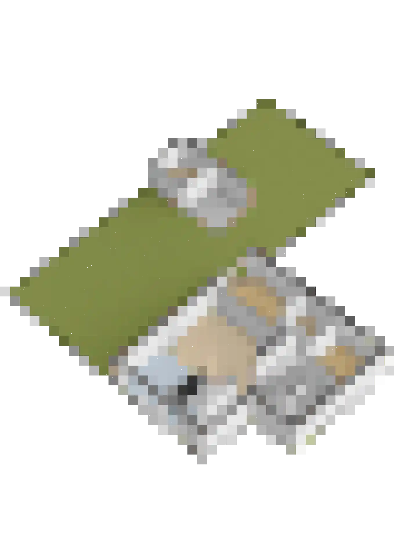 Westerhof 37 Ridderkerk thumbnail 60