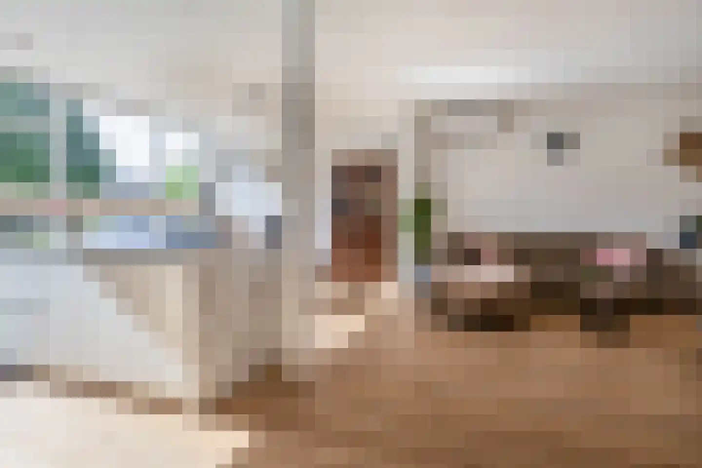 Westerhof 37 Ridderkerk thumbnail 7