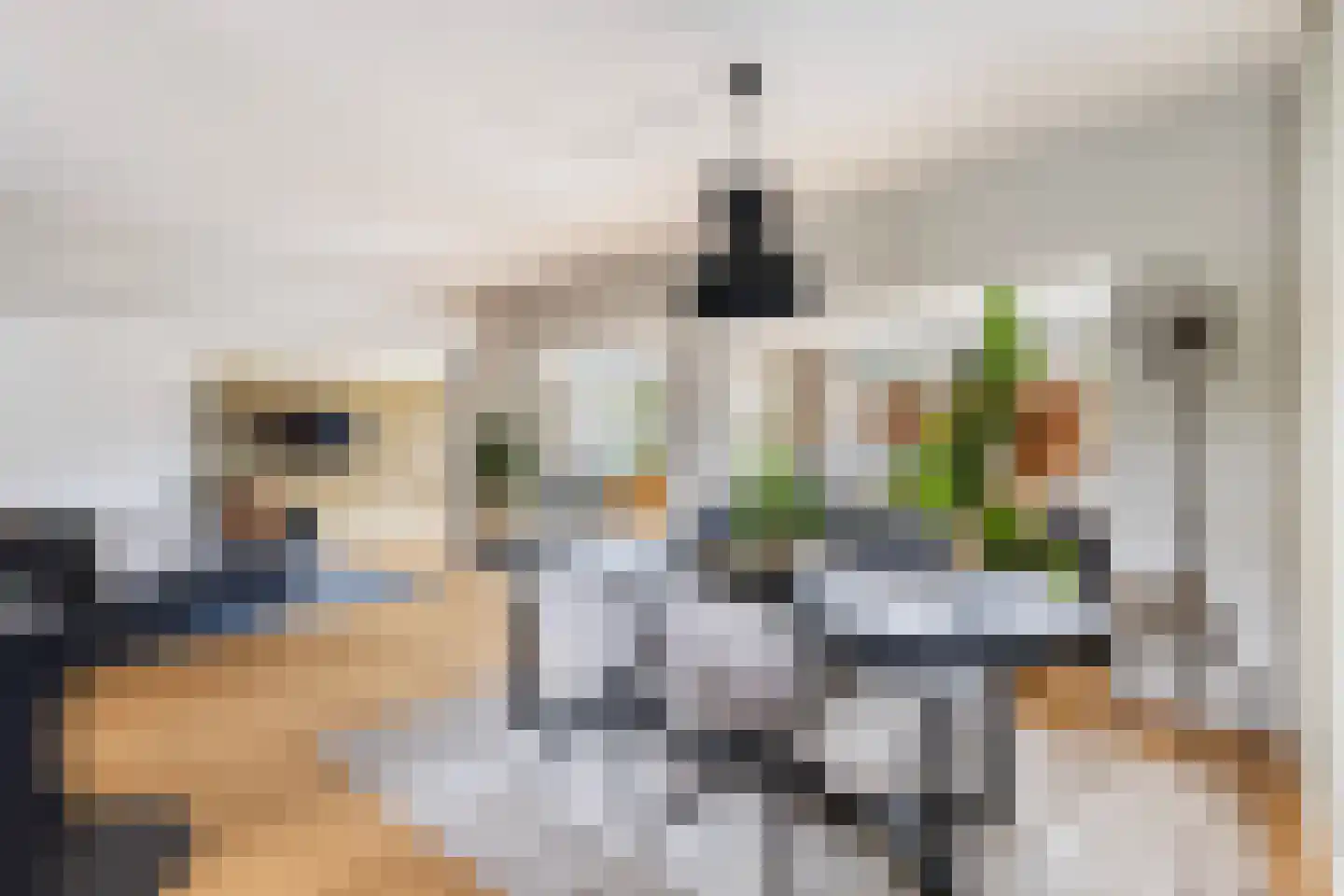 Westerhof 7 Dalfsen thumbnail 17