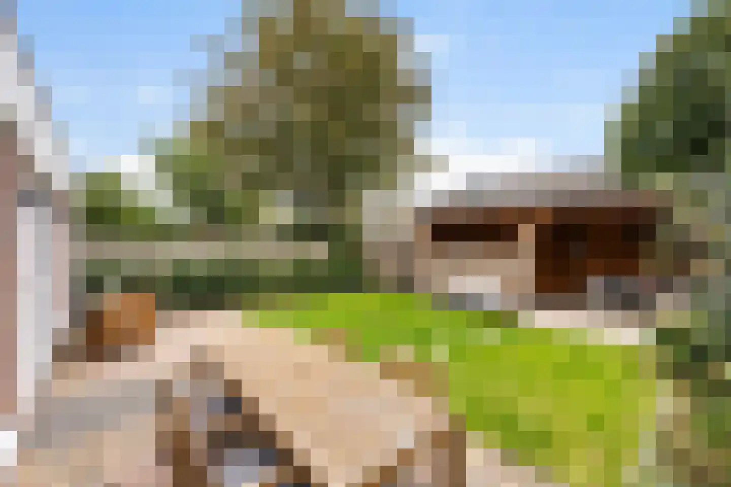 Westerhof 7 Dalfsen thumbnail 34