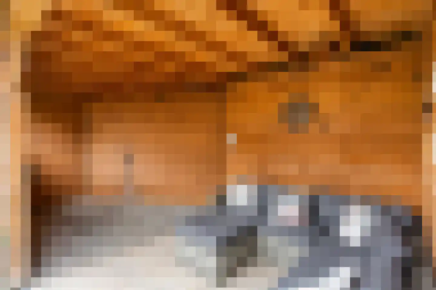 Westerhof 7 Dalfsen thumbnail 35