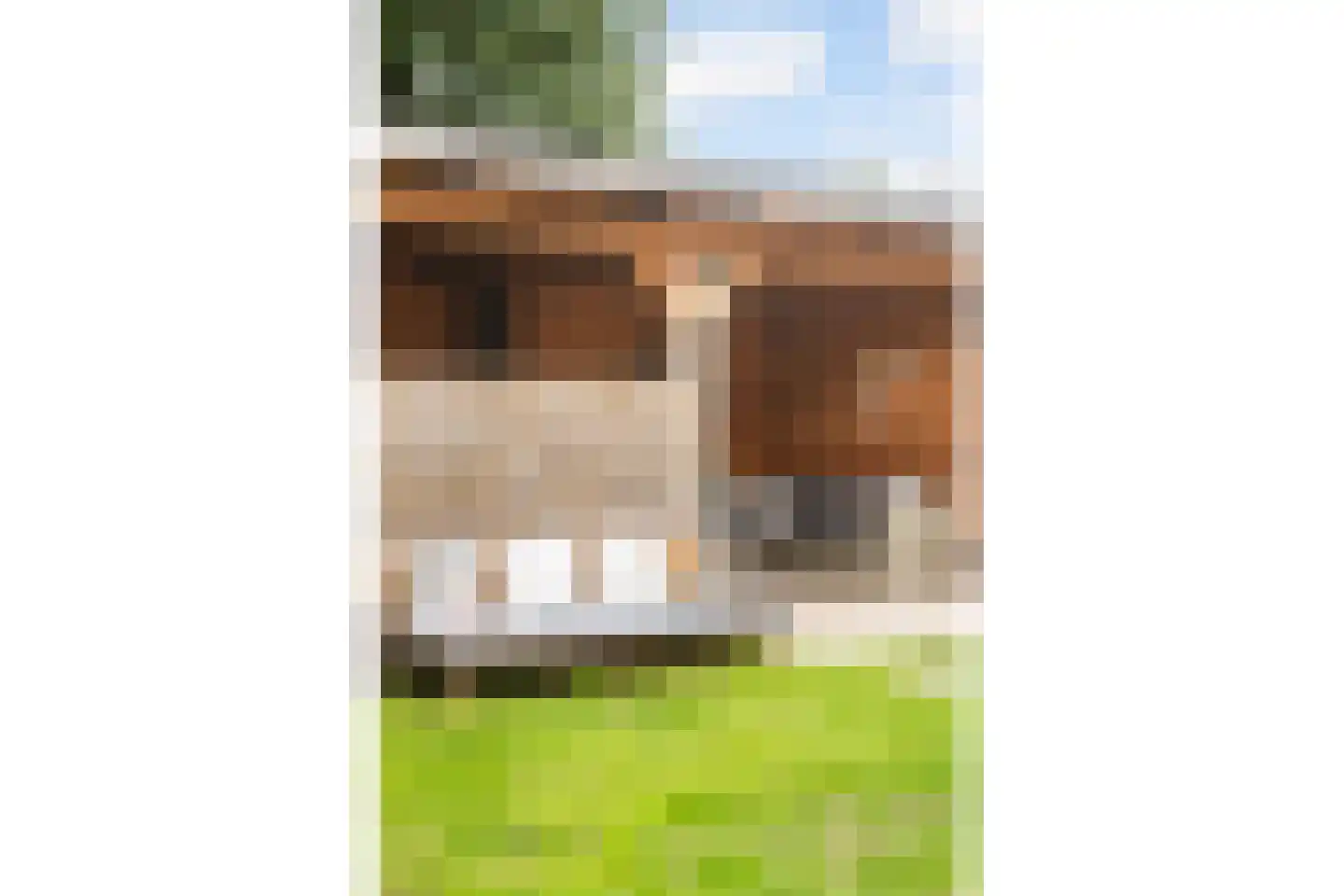 Westerhof 7 Dalfsen thumbnail 36