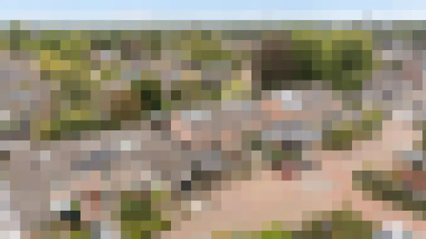 Westerhof 7 Dalfsen thumbnail 39