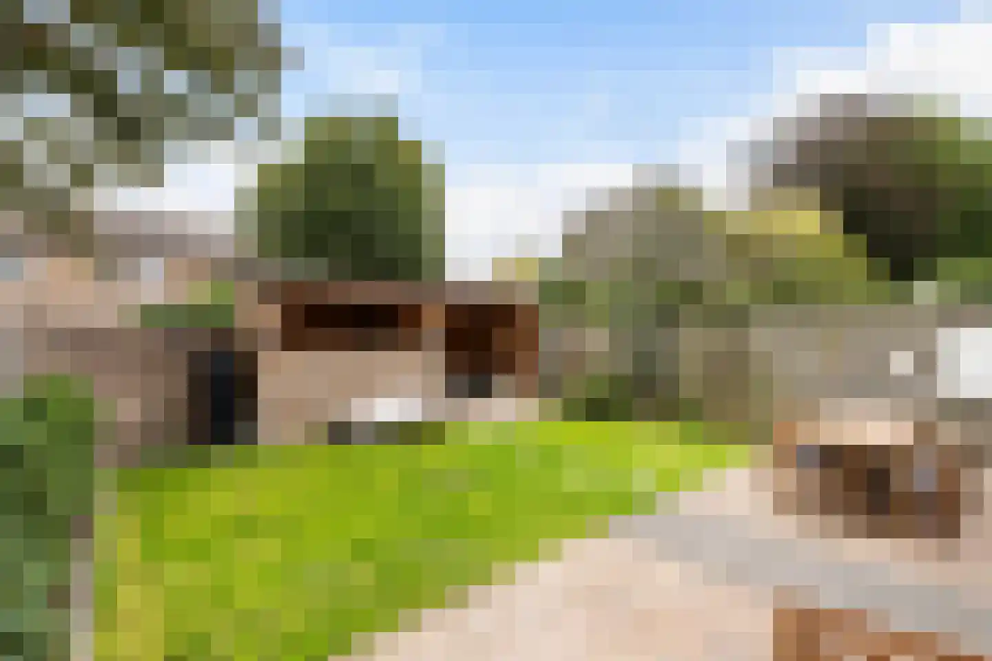 Westerhof 7 Dalfsen thumbnail 4
