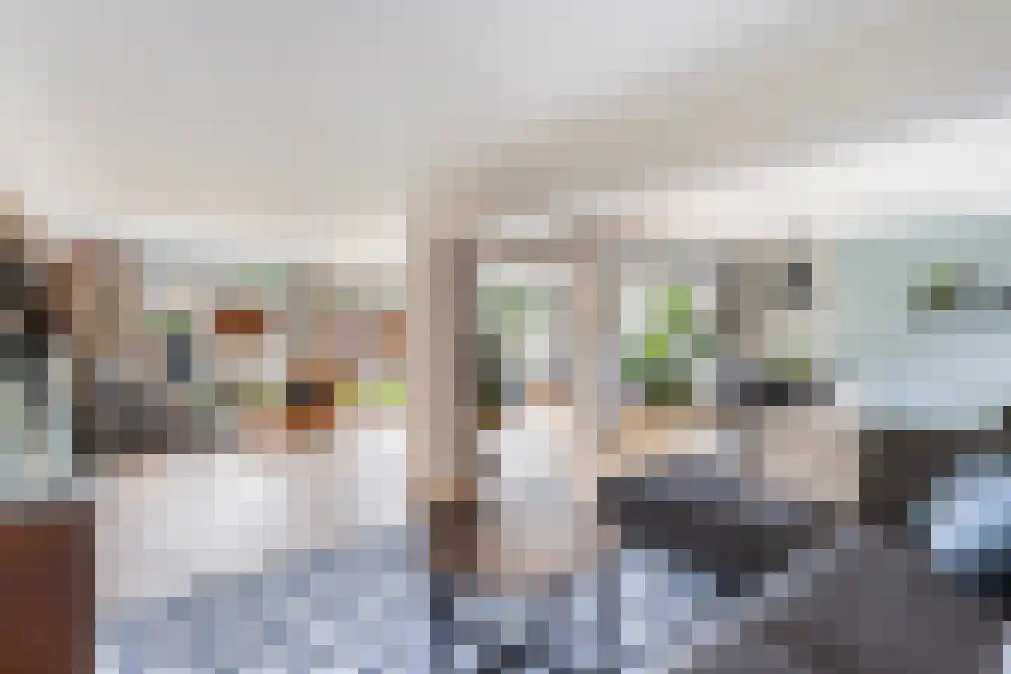 Westerhof 7 Dalfsen thumbnail 5