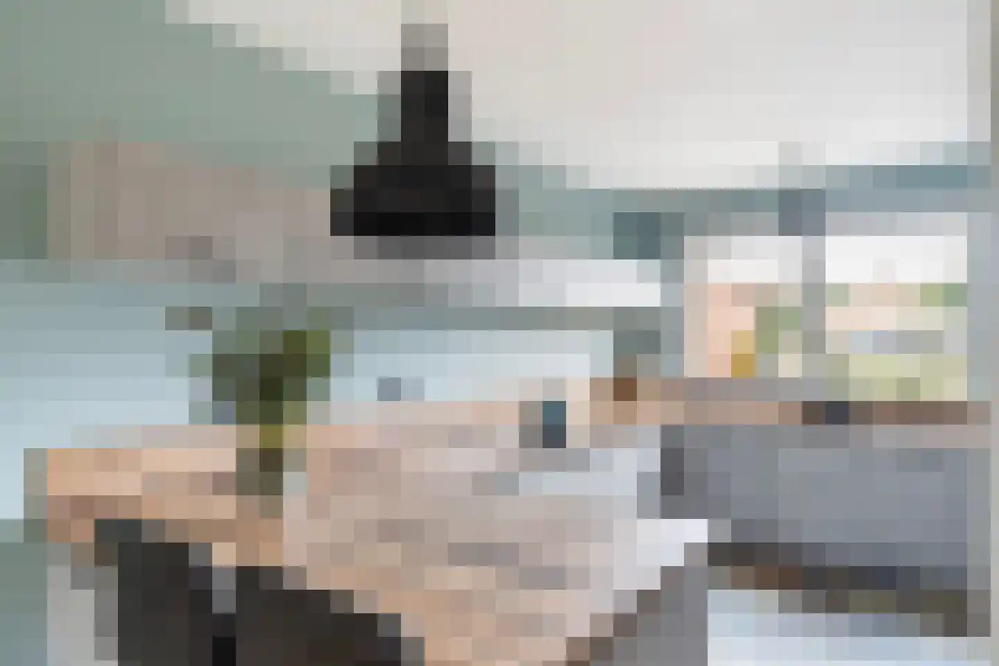 Westerhof 7 Dalfsen thumbnail 7