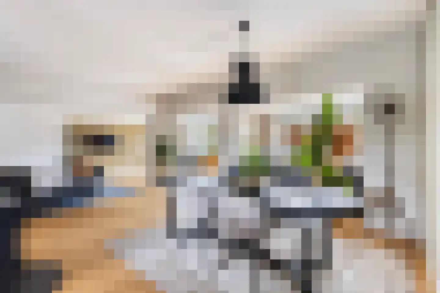 Westerhof 7 Dalfsen thumbnail 8