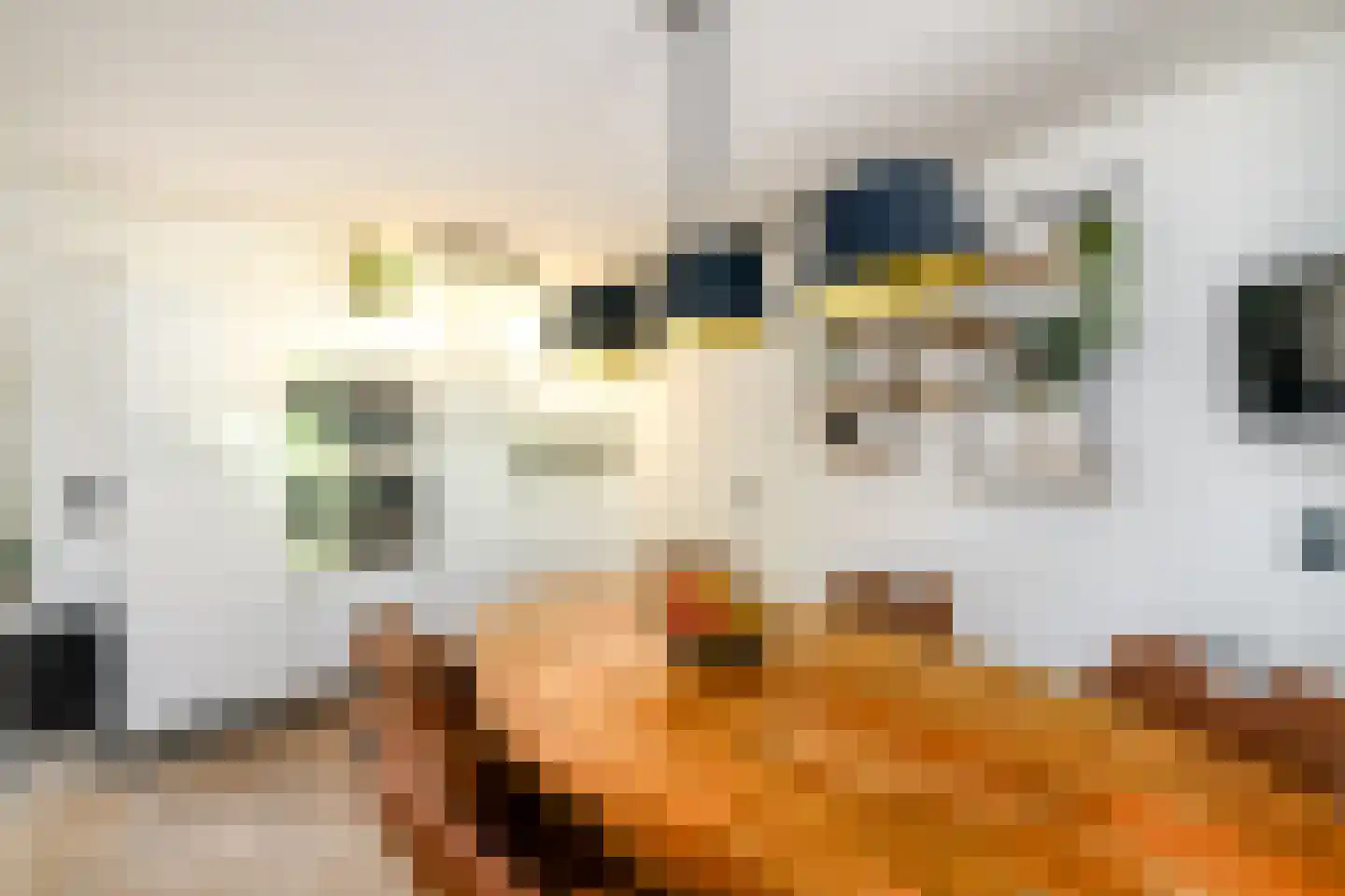 Westerhofstraat 3 Oldeholtpade thumbnail 11