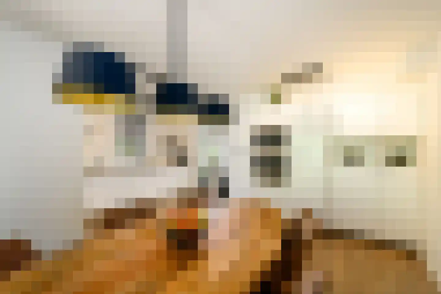 Westerhofstraat 3 Oldeholtpade thumbnail 14