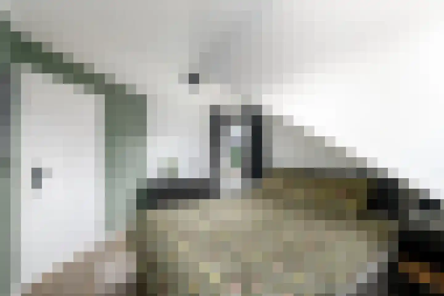 Westerhofstraat 3 Oldeholtpade thumbnail 18