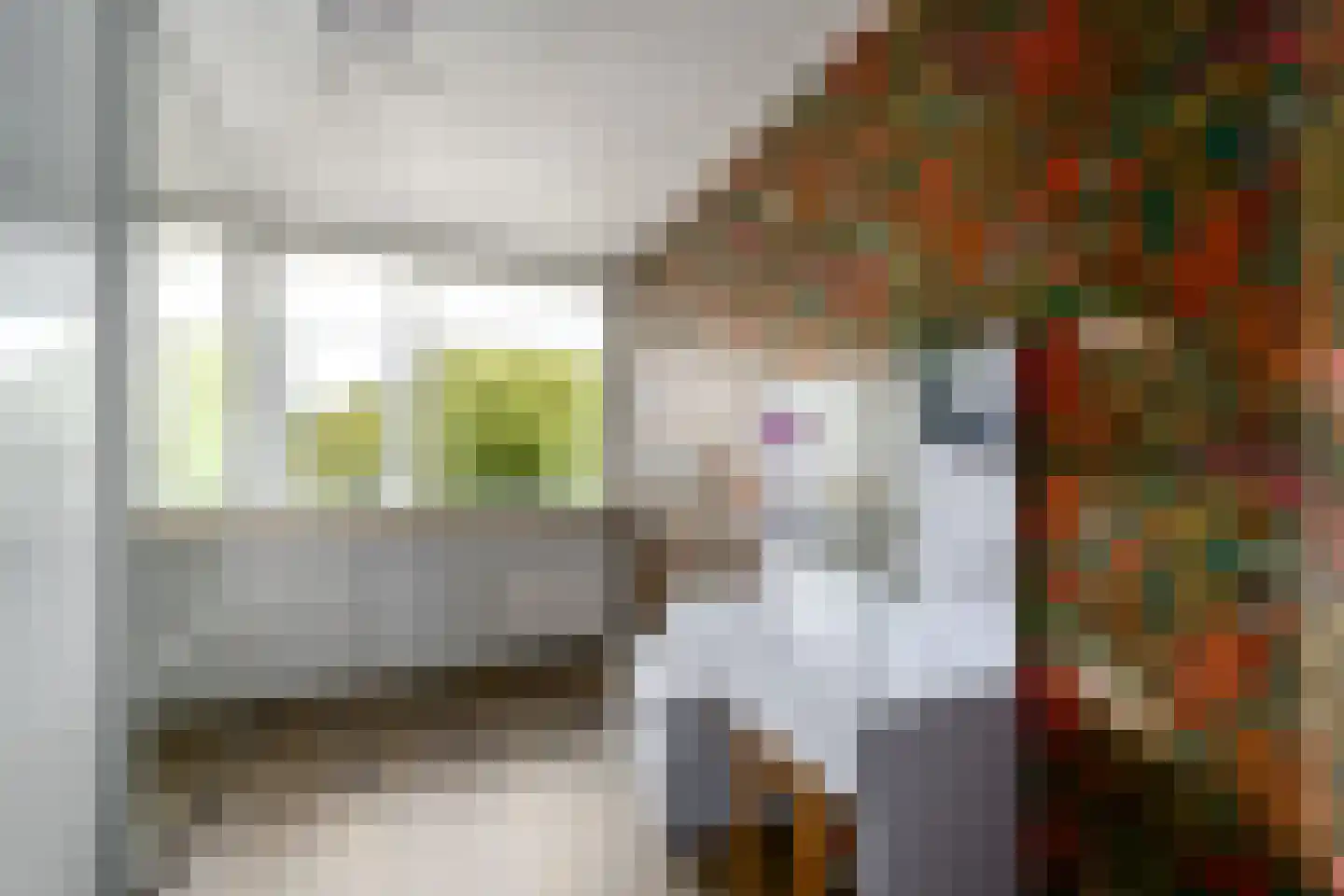 Westerhofstraat 3 Oldeholtpade thumbnail 19