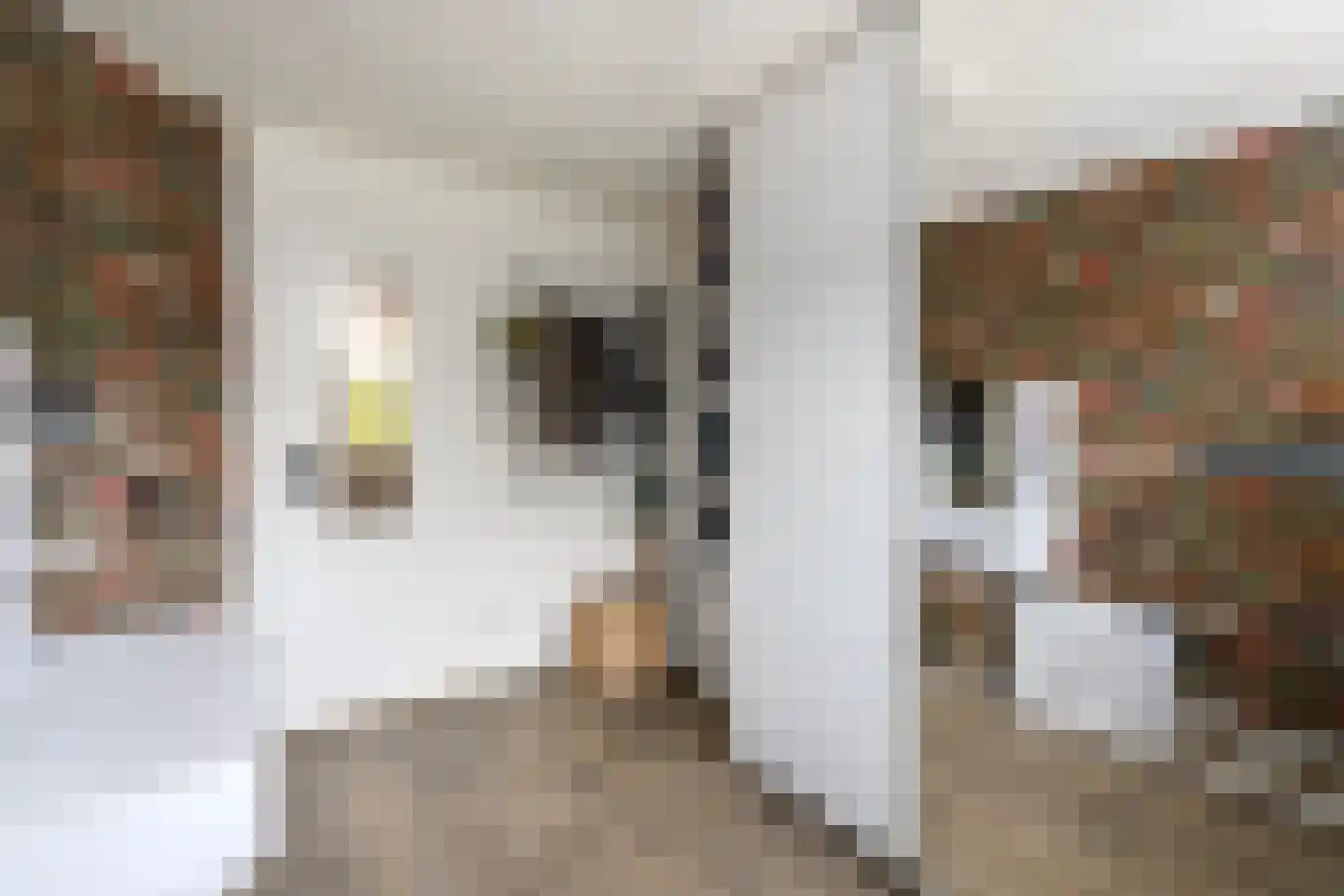 Westerhofstraat 3 Oldeholtpade thumbnail 20