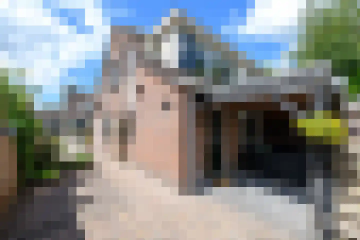 Westerhofstraat 3 Oldeholtpade thumbnail 35