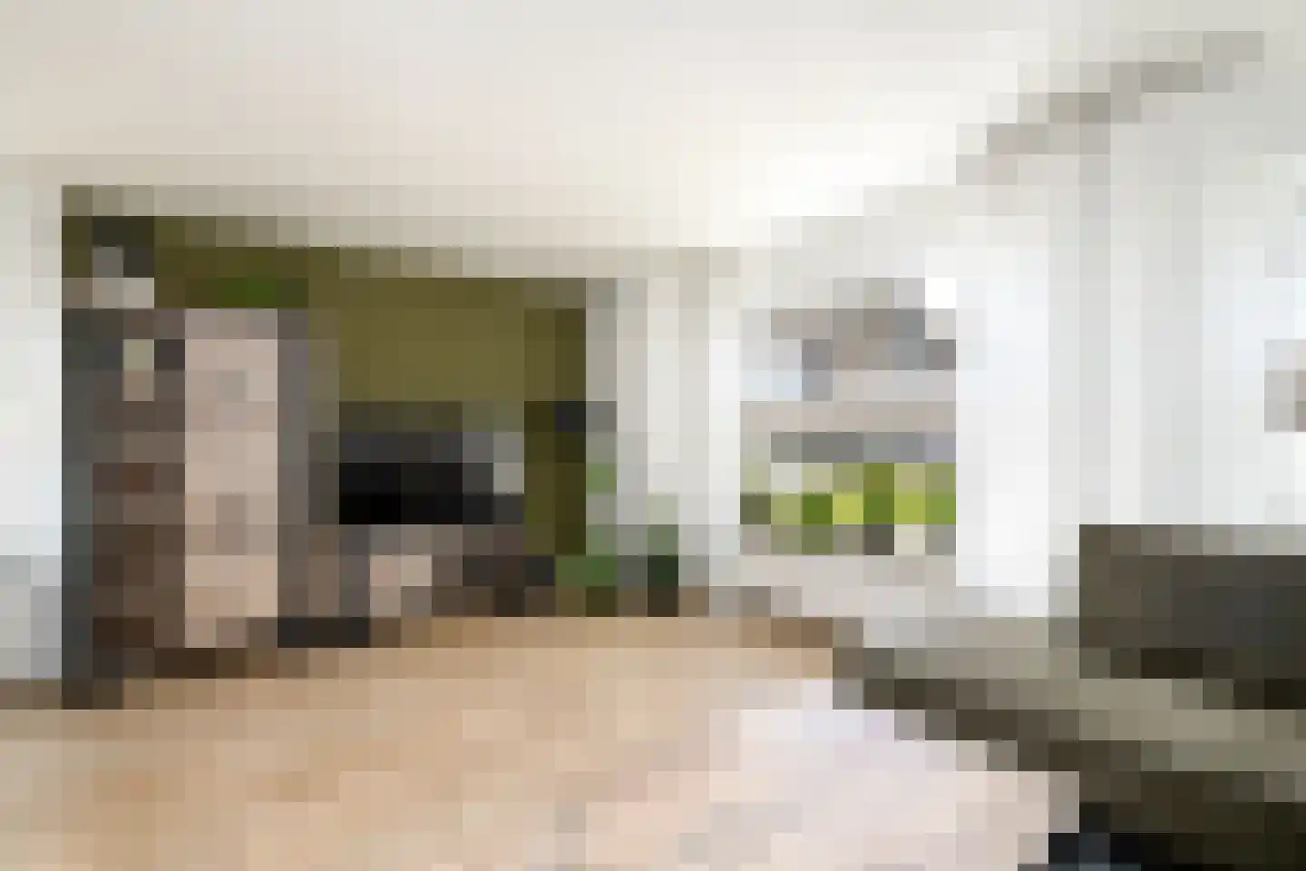 Westerhofstraat 3 Oldeholtpade thumbnail 4