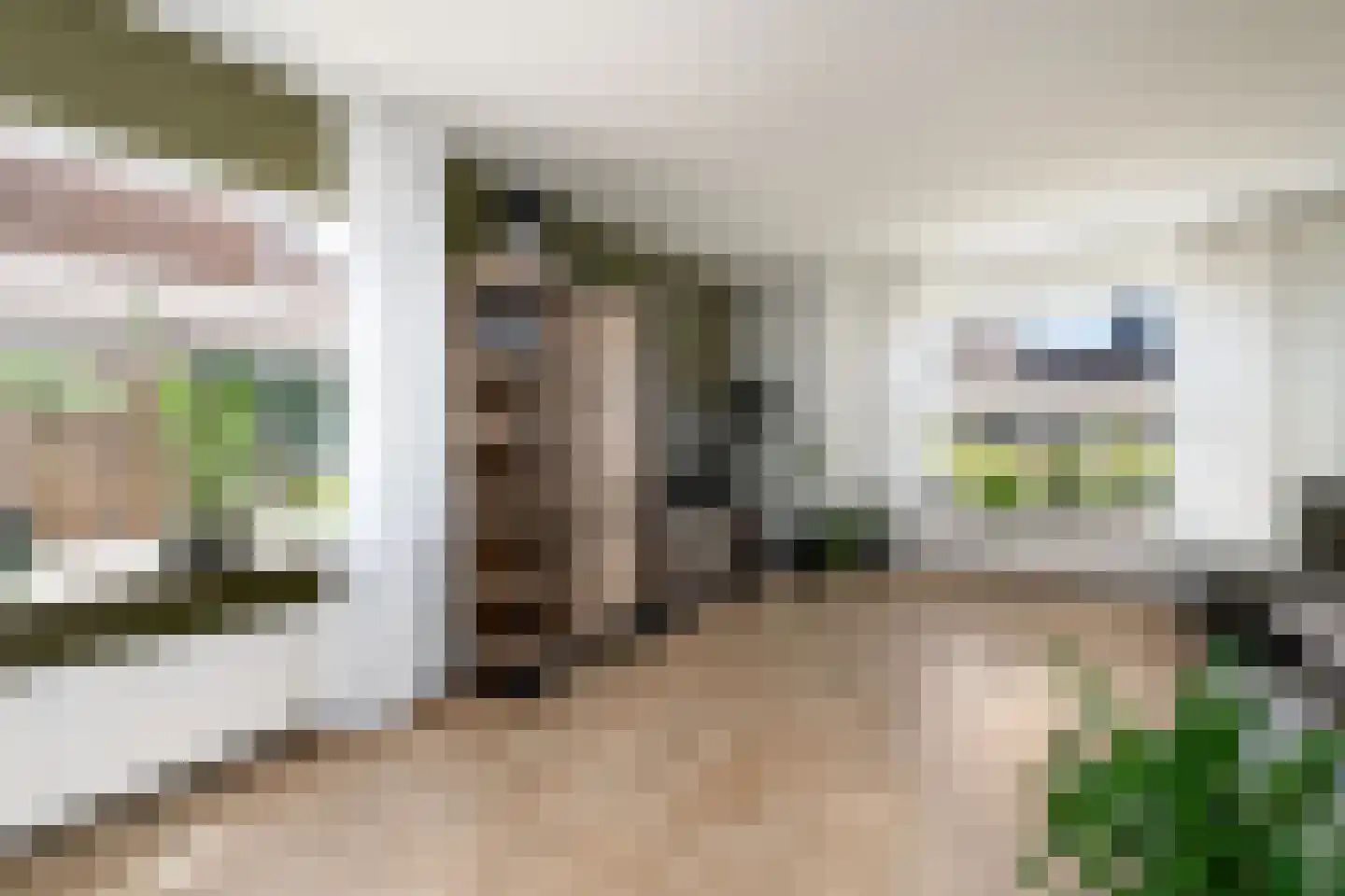 Westerhofstraat 3 Oldeholtpade thumbnail 5