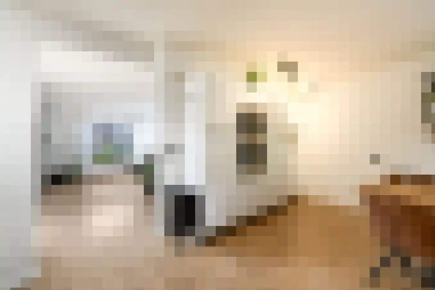 Westerhofstraat 3 Oldeholtpade thumbnail 7