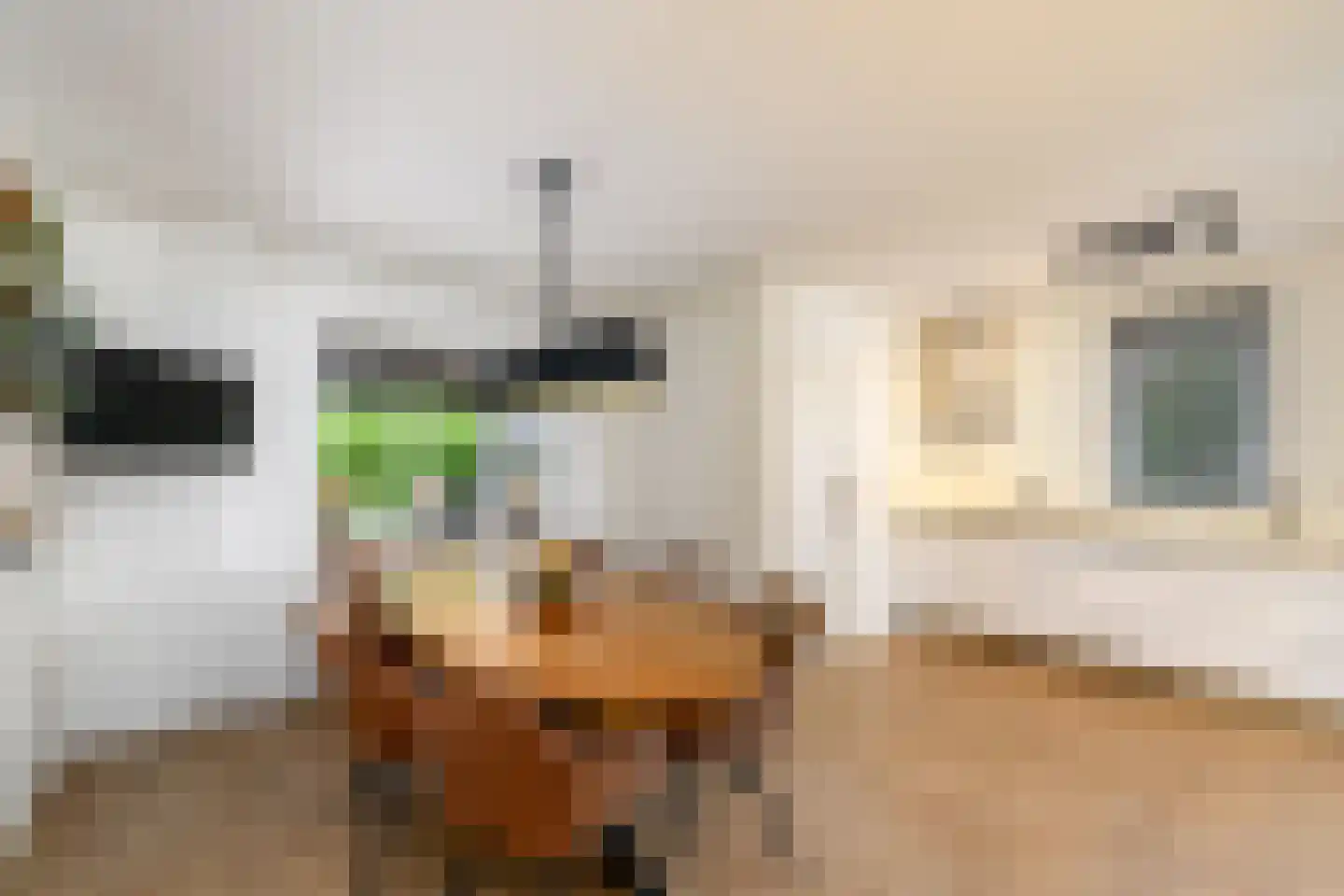 Westerhofstraat 3 Oldeholtpade thumbnail 8