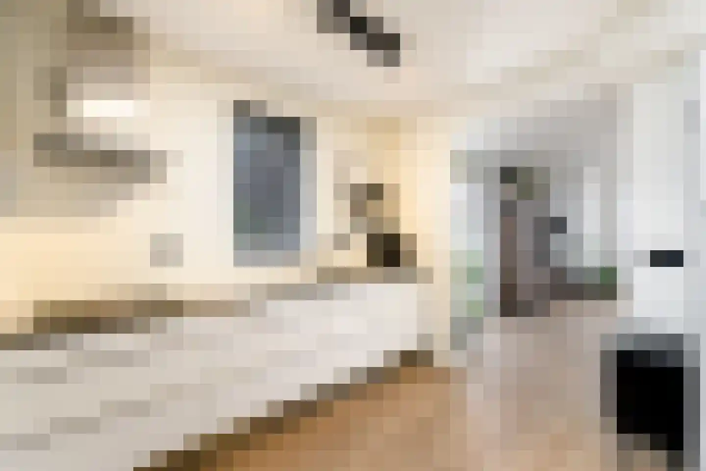 Westerhofstraat 3 Oldeholtpade thumbnail 9